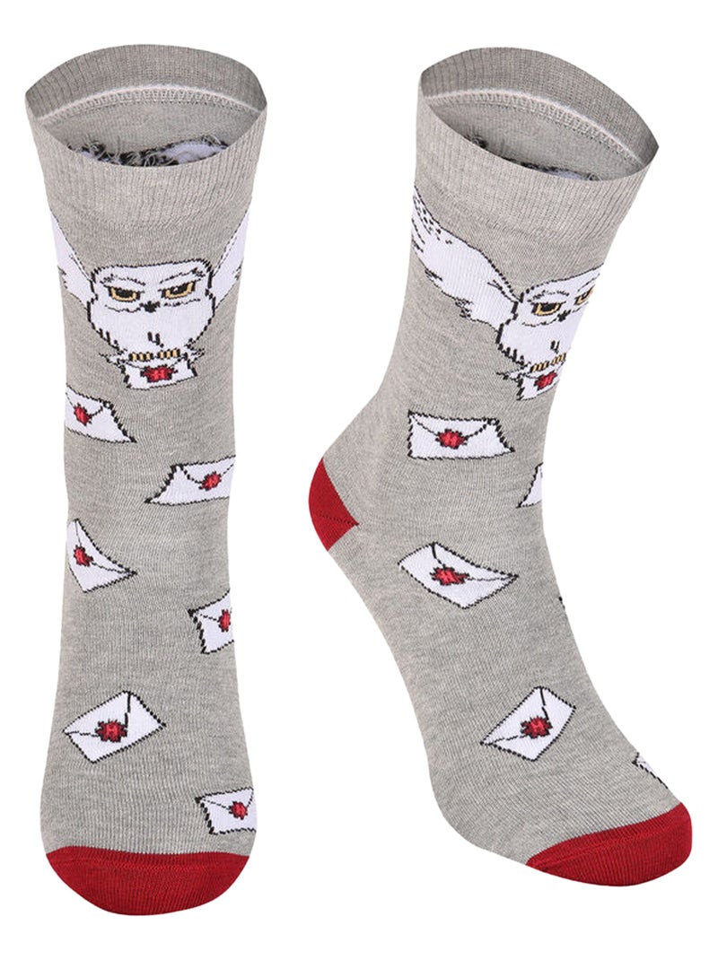 Harry Potter - Chaussettes Gris souris - Kiabi