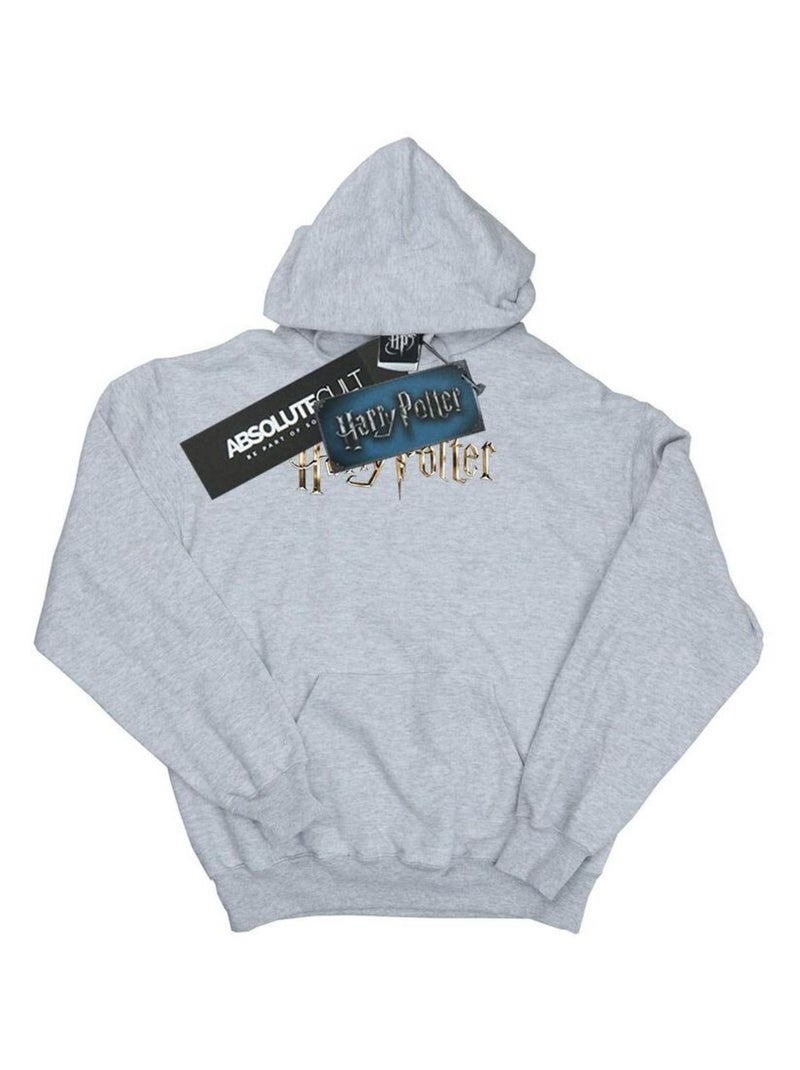 Harry Potter - Sweat à capuche Gris chiné - Kiabi