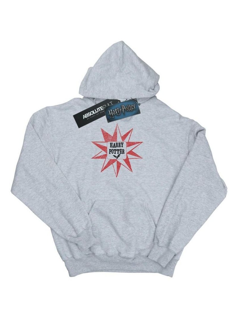 Harry Potter - Sweat à capuche Gris chiné - Kiabi