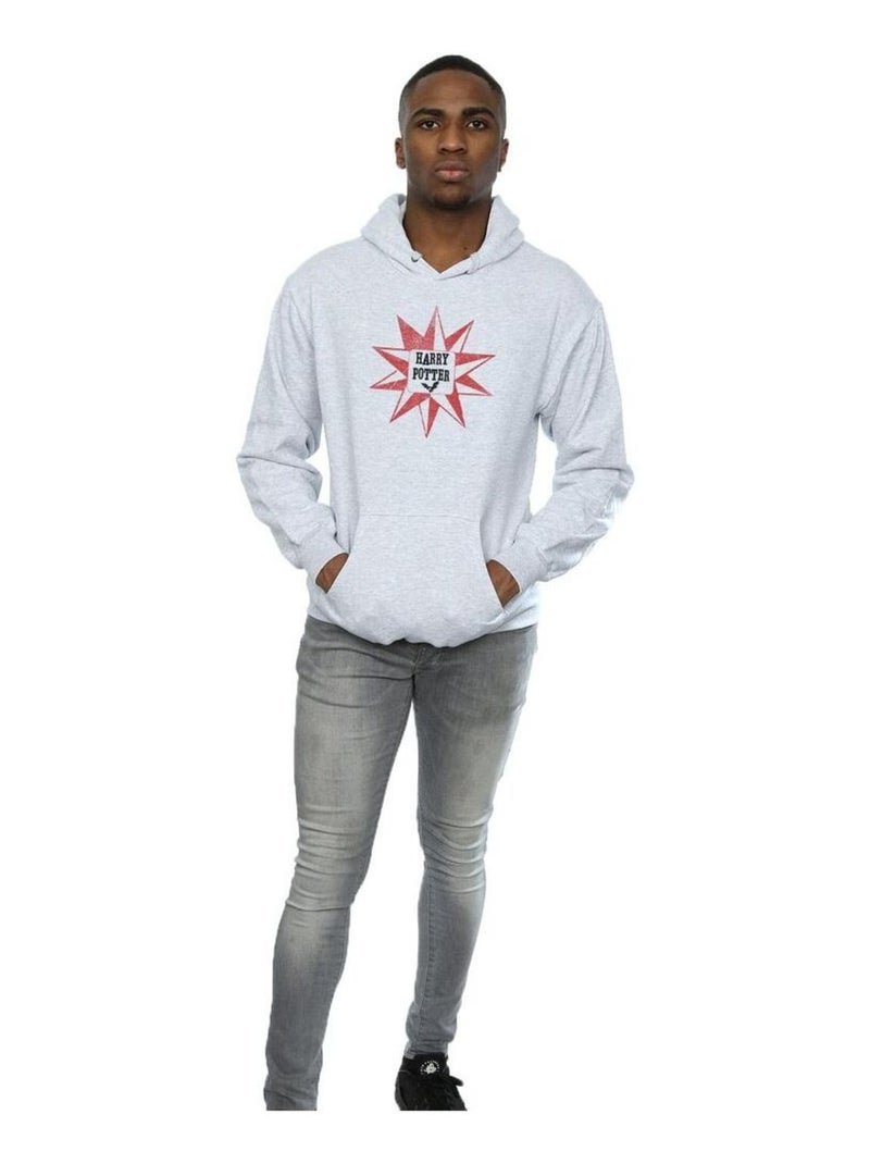 Harry Potter - Sweat à capuche Gris chiné - Kiabi