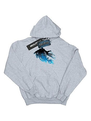 Harry Potter - Sweat à capuche