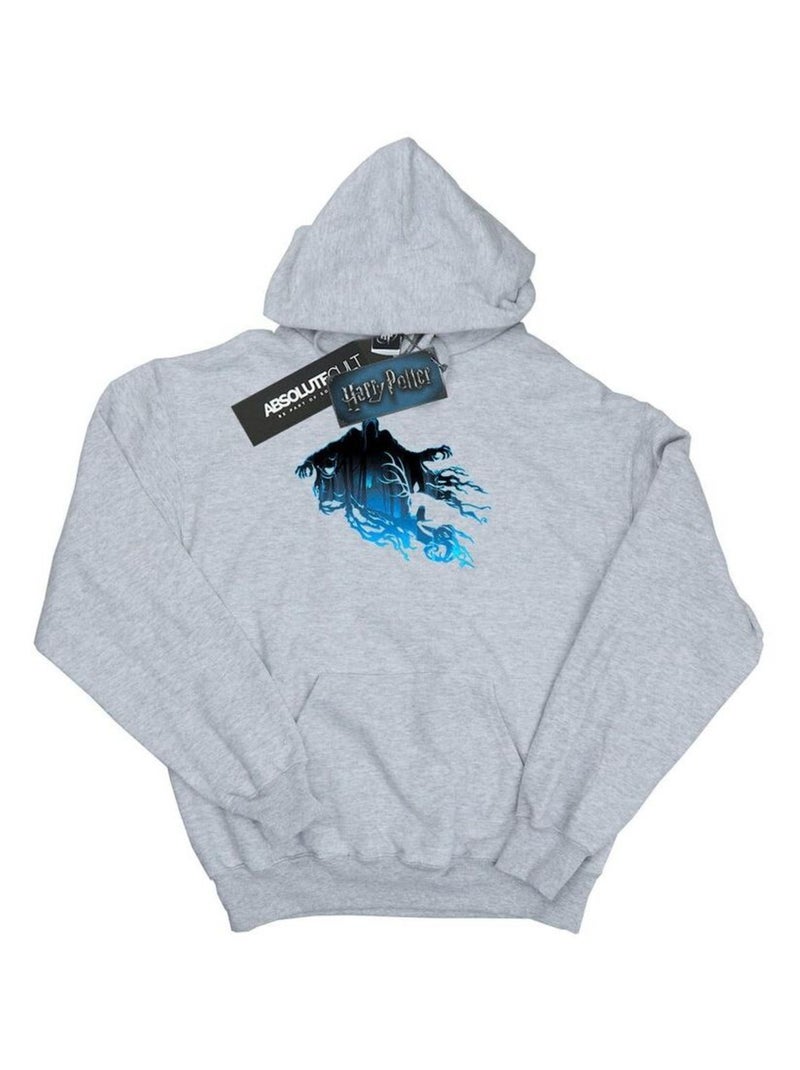 Harry Potter - Sweat à capuche Gris chiné - Kiabi