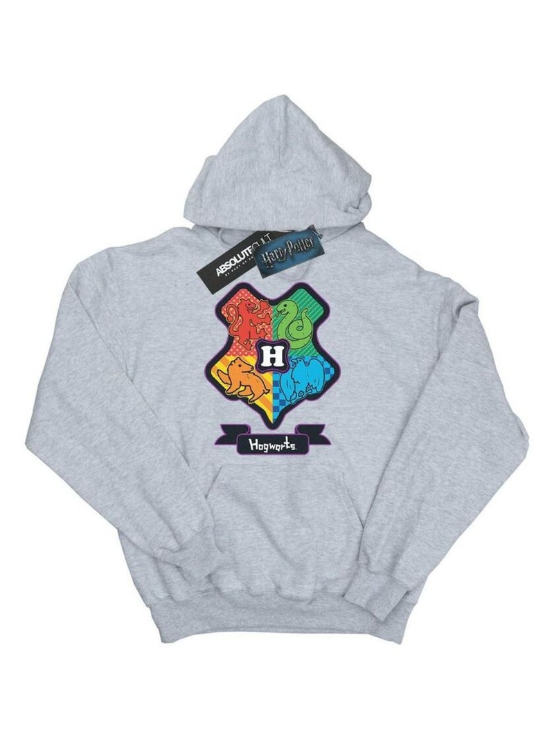 Harry Potter - Sweat à capuche Gris chiné - Kiabi