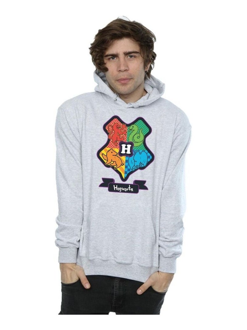 Harry Potter - Sweat à capuche Gris chiné - Kiabi