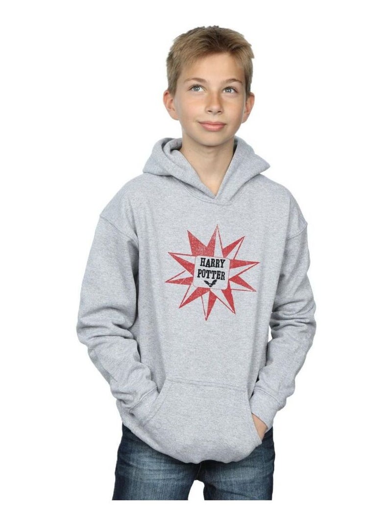 Harry Potter - Sweat à capuche Gris chiné - Kiabi