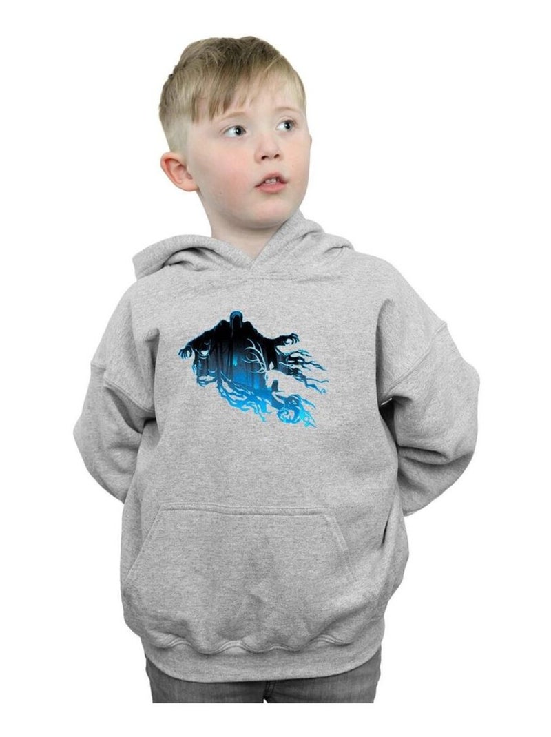 Harry Potter - Sweat à capuche Gris chiné - Kiabi