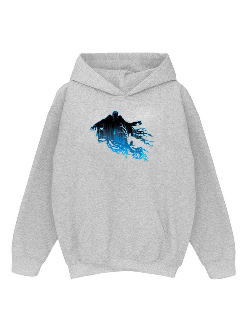 Harry Potter - Sweat à capuche Gris chiné - Kiabi
