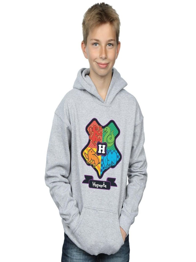 Harry Potter - Sweat à capuche Gris chiné - Kiabi