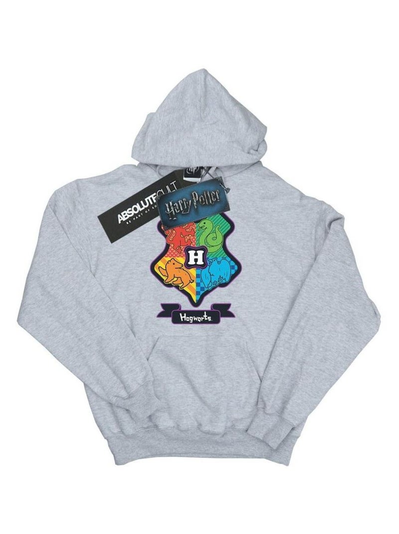 Harry Potter - Sweat à capuche Gris chiné - Kiabi