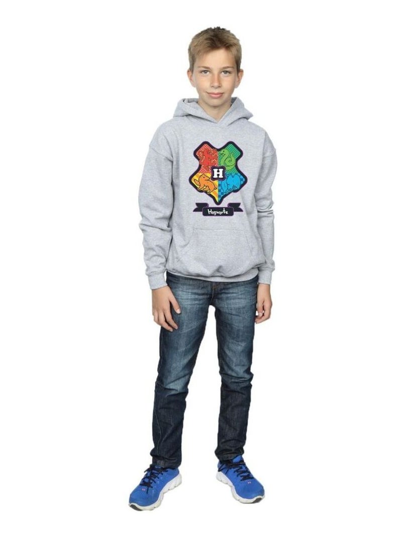 Harry Potter - Sweat à capuche Gris chiné - Kiabi