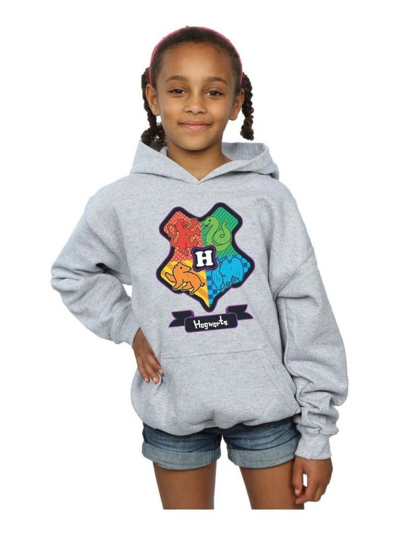 Harry Potter - Sweat à capuche Gris chiné - Kiabi