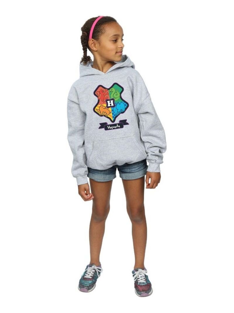 Harry Potter - Sweat à capuche Gris chiné - Kiabi