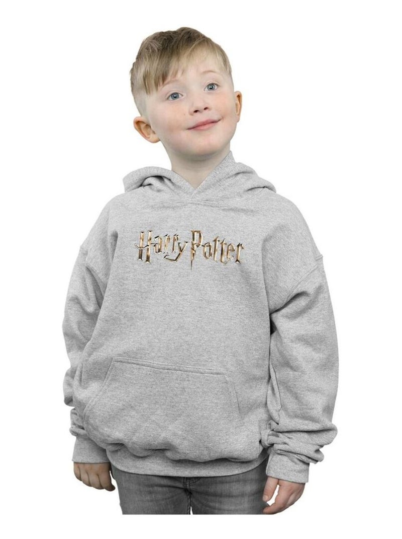 Harry Potter - Sweat à capuche Gris chiné - Kiabi