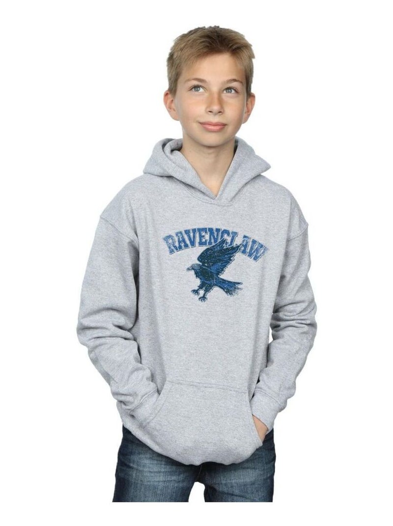 Harry Potter - Sweat à capuche Gris chiné - Kiabi