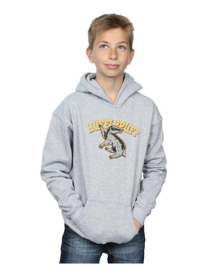 Harry Potter - Sweat à capuche Gris chiné - Kiabi