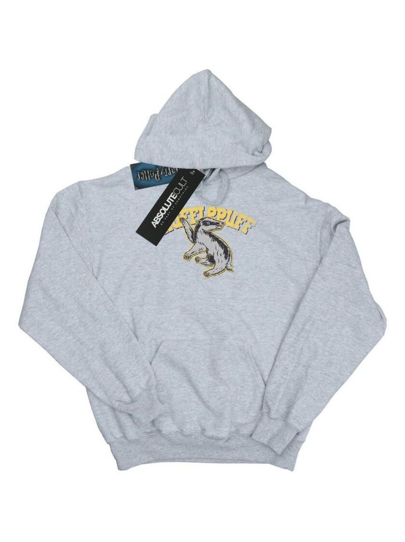 Harry Potter - Sweat à capuche Gris chiné - Kiabi