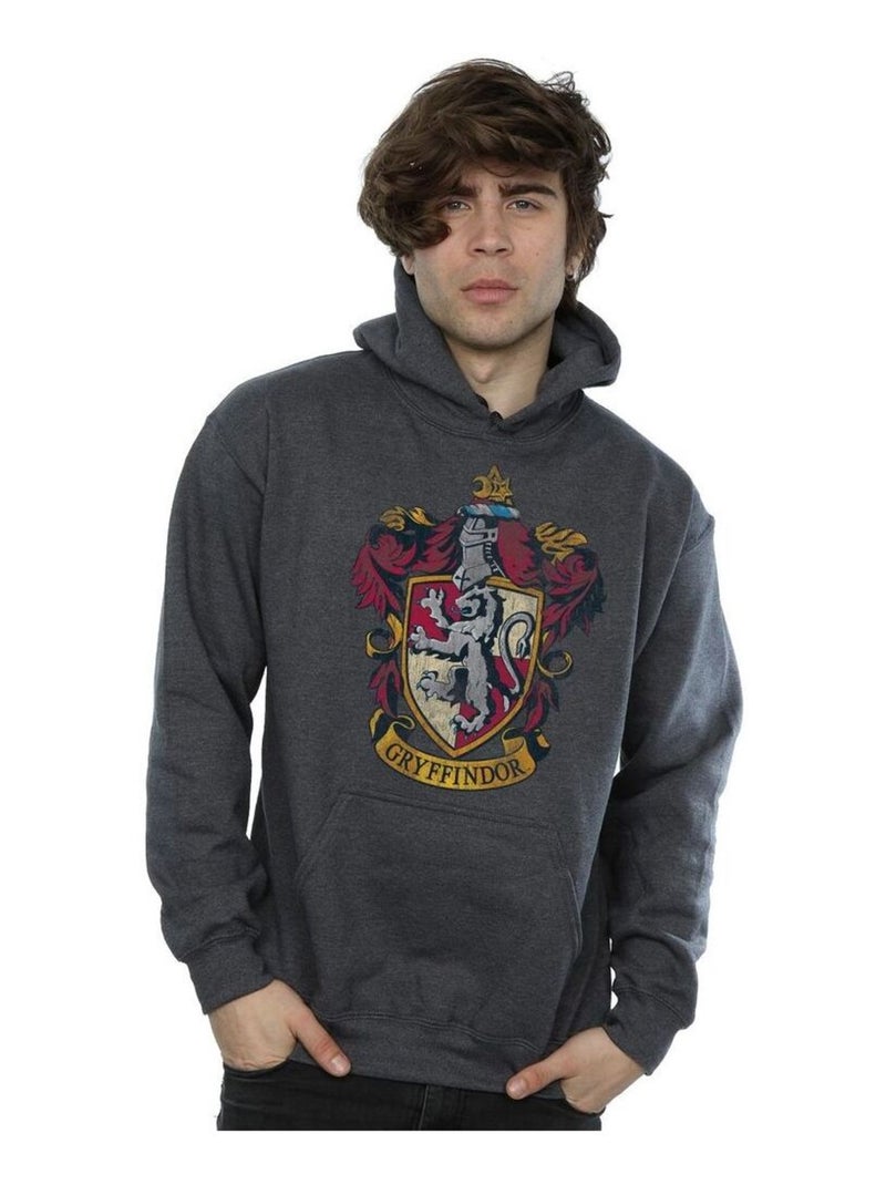 Harry Potter - Sweat à capuche Gris foncé - Kiabi
