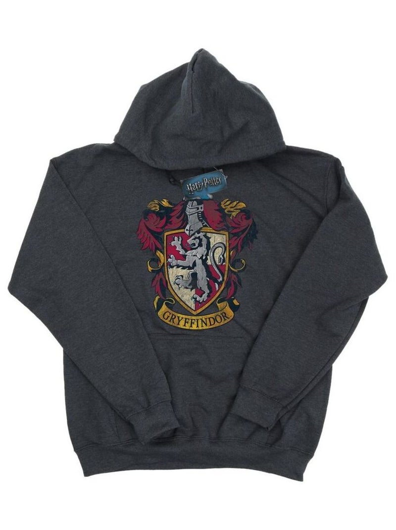Harry Potter - Sweat à capuche Gris foncé - Kiabi