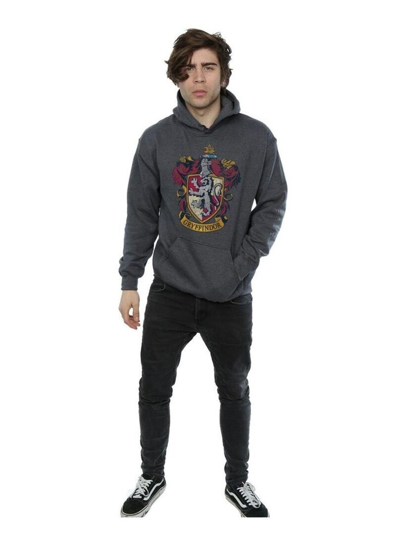 Harry Potter - Sweat à capuche Gris foncé - Kiabi
