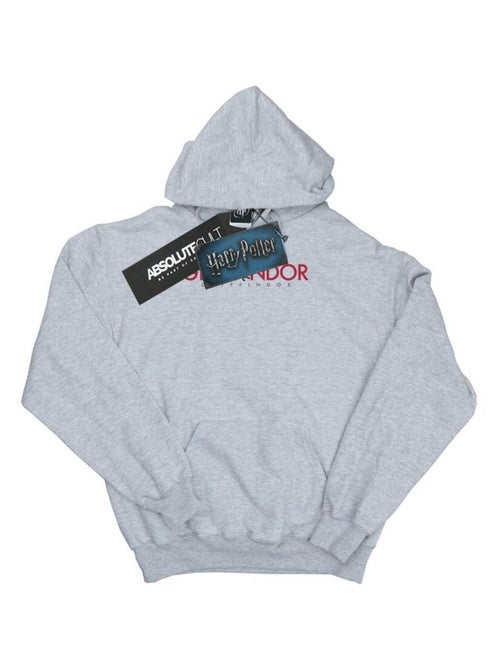 Harry Potter - Sweat à capuche GRYFFINDOR - Kiabi