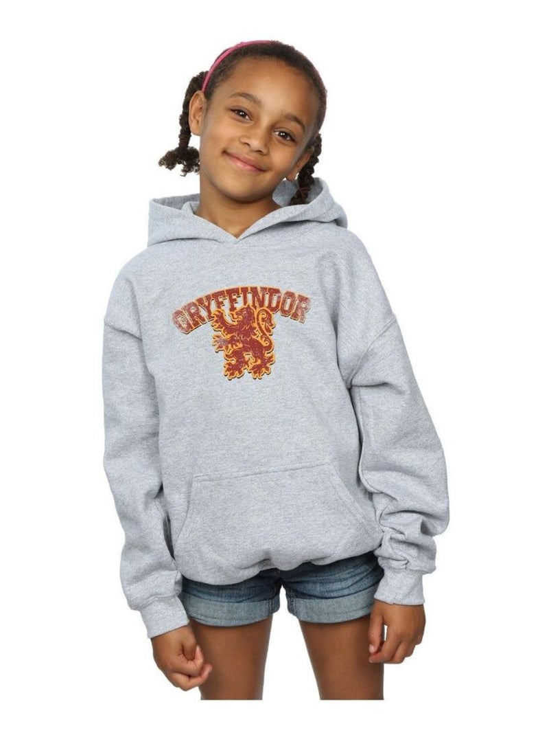 Harry Potter - Sweat à capuche GRYFFINDOR Gris chiné - Kiabi