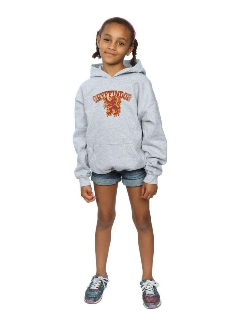 Harry Potter - Sweat à capuche GRYFFINDOR Gris chiné - Kiabi