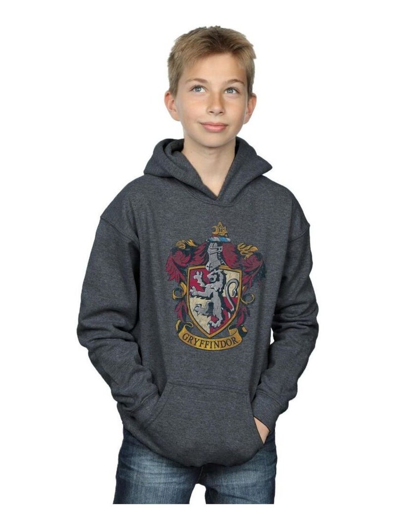 Harry Potter - Sweat à capuche GRYFFINDOR Gris foncé - Kiabi