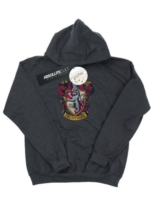 Harry Potter - Sweat à capuche GRYFFINDOR - Kiabi