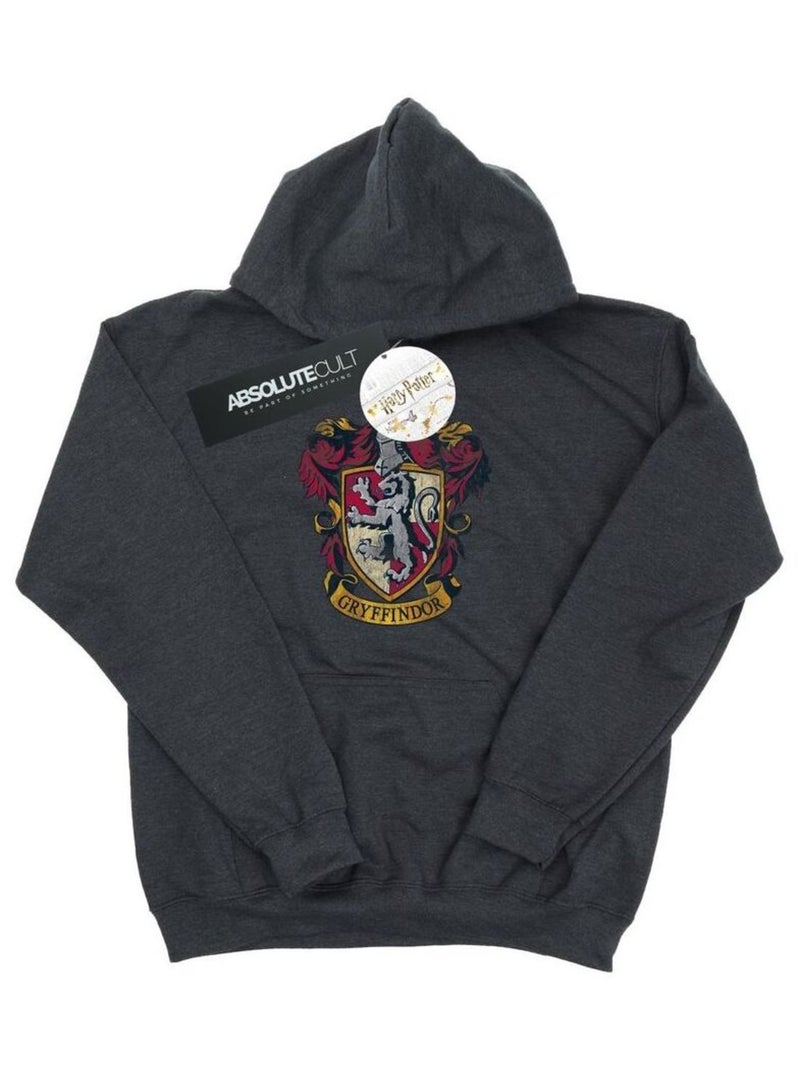 Harry Potter - Sweat à capuche GRYFFINDOR Gris foncé - Kiabi