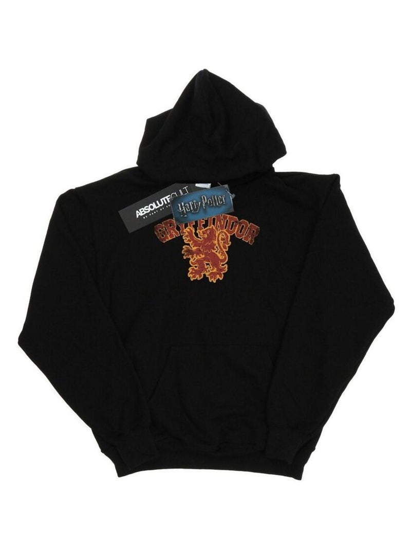 Harry Potter - Sweat à capuche GRYFFINDOR Noir - Kiabi