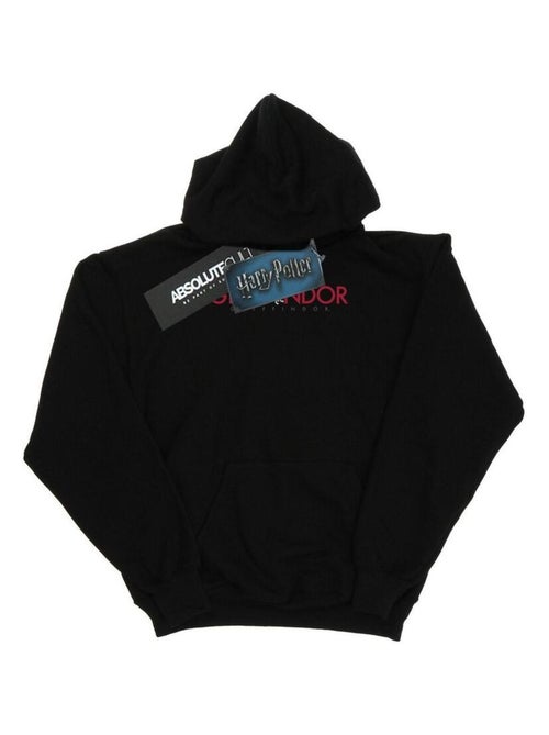 Harry Potter - Sweat à capuche GRYFFINDOR - Kiabi Harry Potter - Sweat à capuche GRYFFINDOR - Kiabi