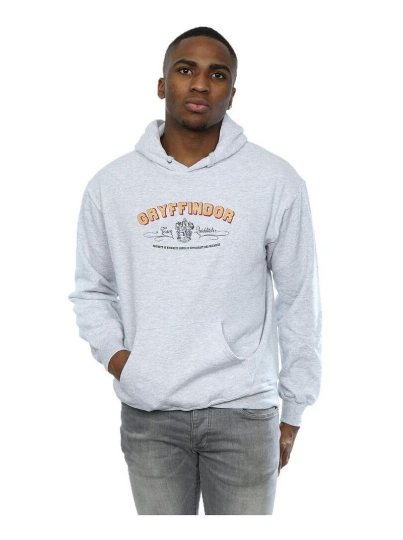 Harry Potter - Sweat à capuche GRYFFINDOR QUIDDÇaCH Gris chiné - Kiabi