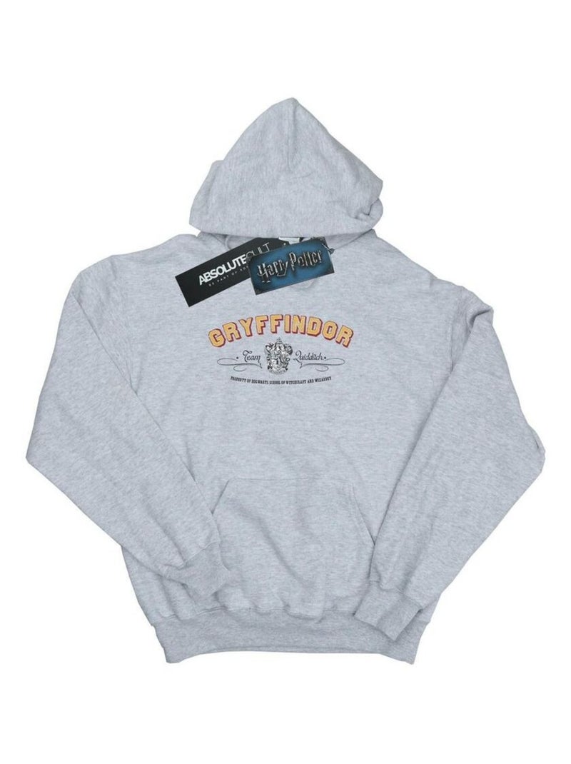 Harry Potter - Sweat à capuche GRYFFINDOR QUIDDITCH Gris chiné - Kiabi