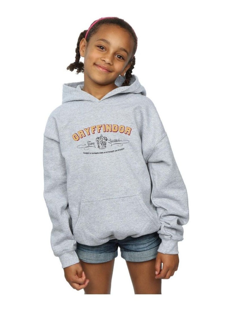 Harry Potter - Sweat à capuche GRYFFINDOR QUIDDITCH Gris chiné - Kiabi