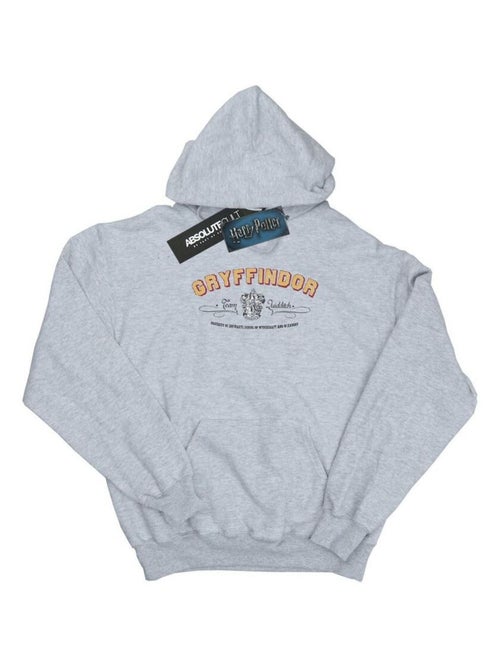 Harry Potter - Sweat à capuche GRYFFINDOR QUIDDITCH - Kiabi