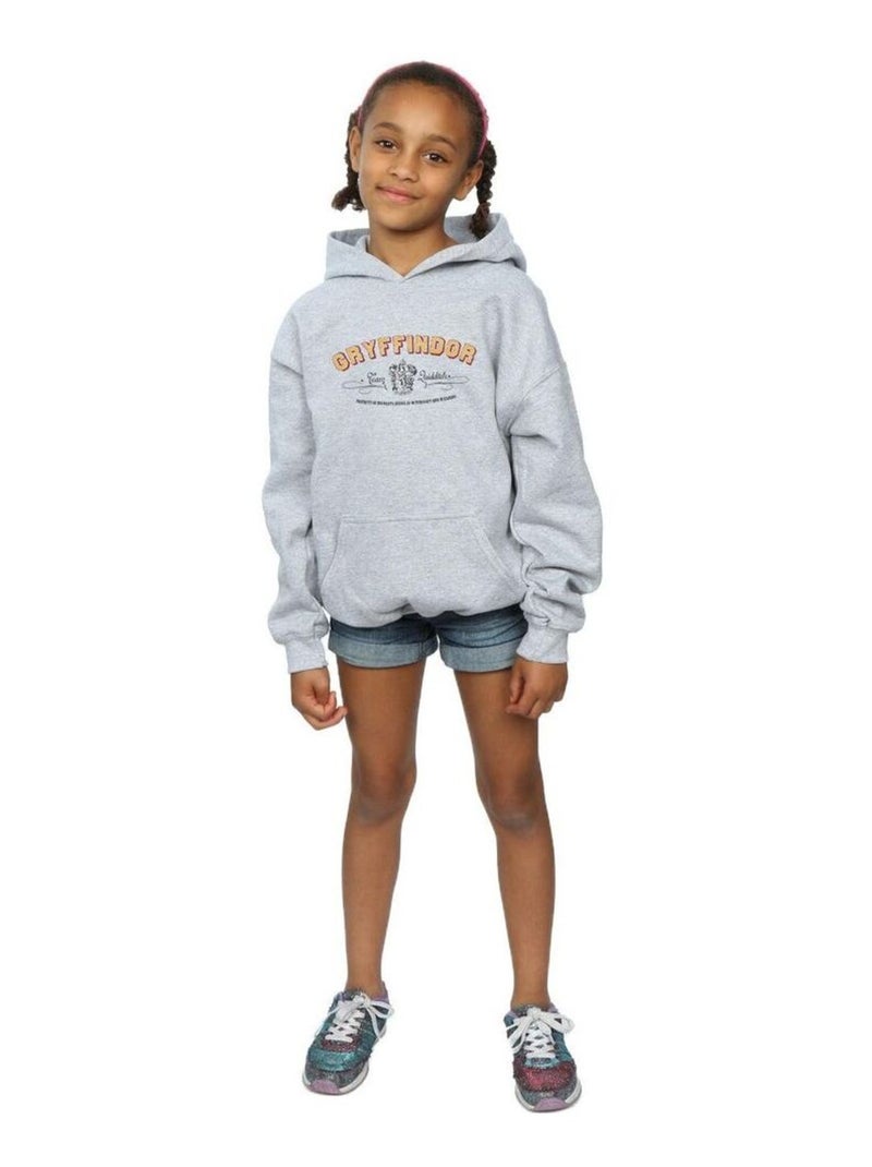 Harry Potter - Sweat à capuche GRYFFINDOR QUIDDITCH Gris chiné - Kiabi
