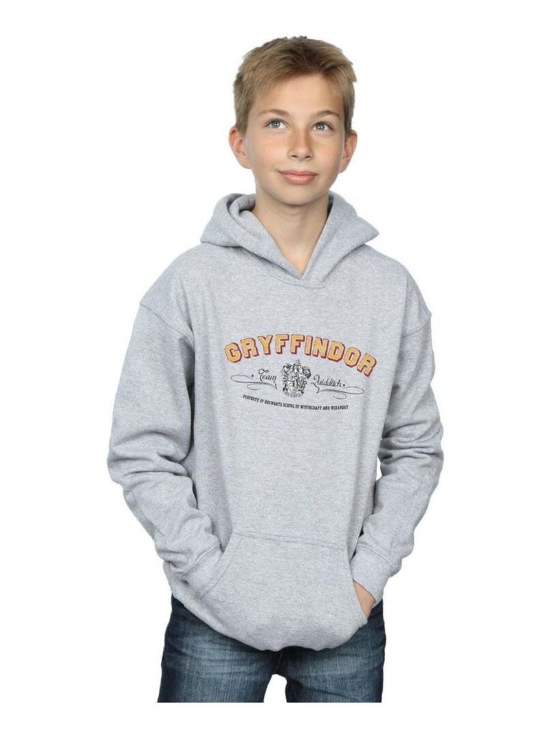 Harry Potter - Sweat à capuche GRYFFINDOR QUIDDITCH Gris chiné - Kiabi