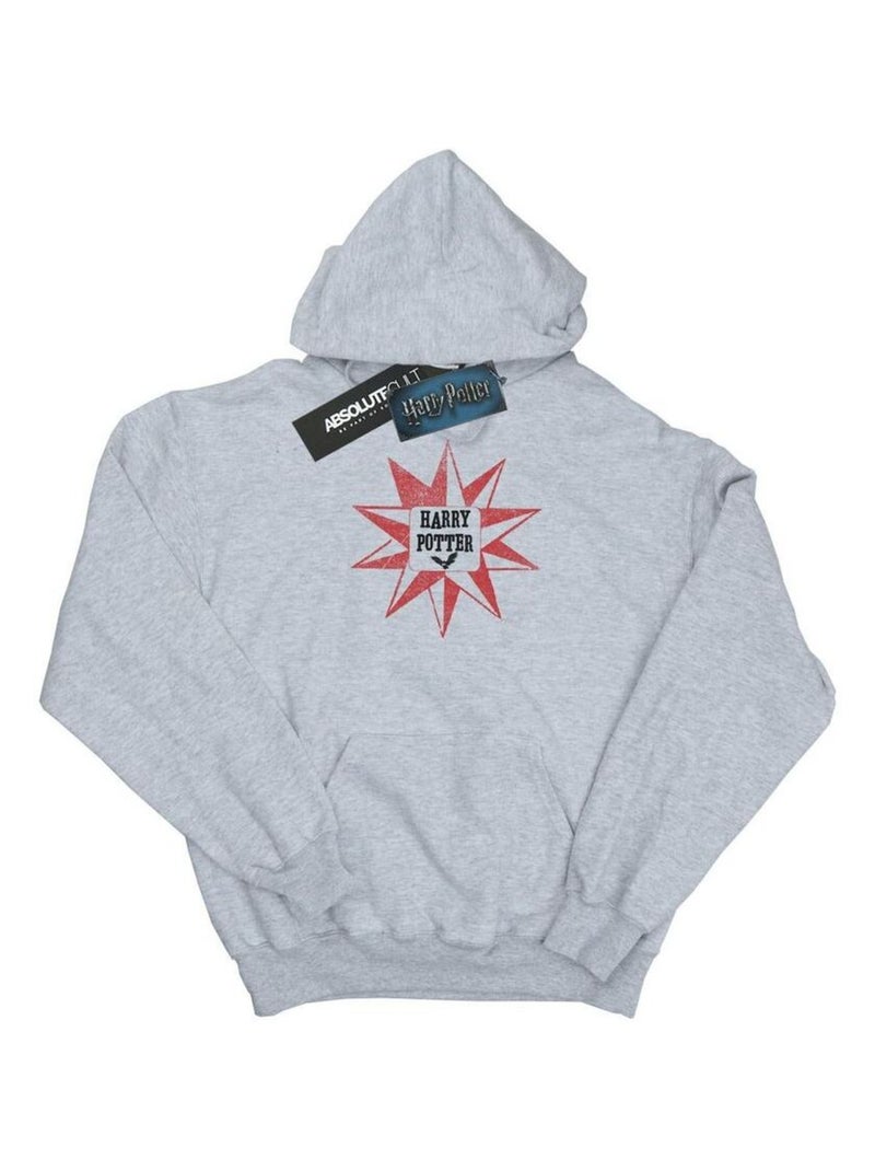 Harry Potter - Sweat à capuche HEDWIG Gris chiné - Kiabi