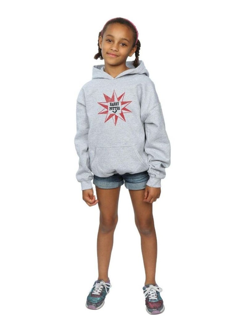 Harry Potter - Sweat à capuche HEDWIG Gris chiné - Kiabi