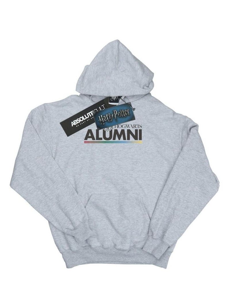 Harry Potter - Sweat à capuche HOGWARTS Gris chiné - Kiabi
