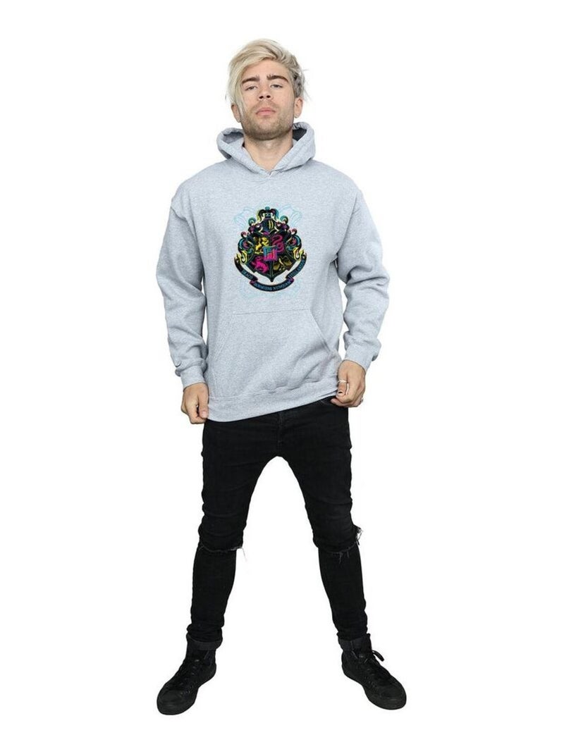 Harry Potter - Sweat à capuche HOGWARTS Gris chiné - Kiabi
