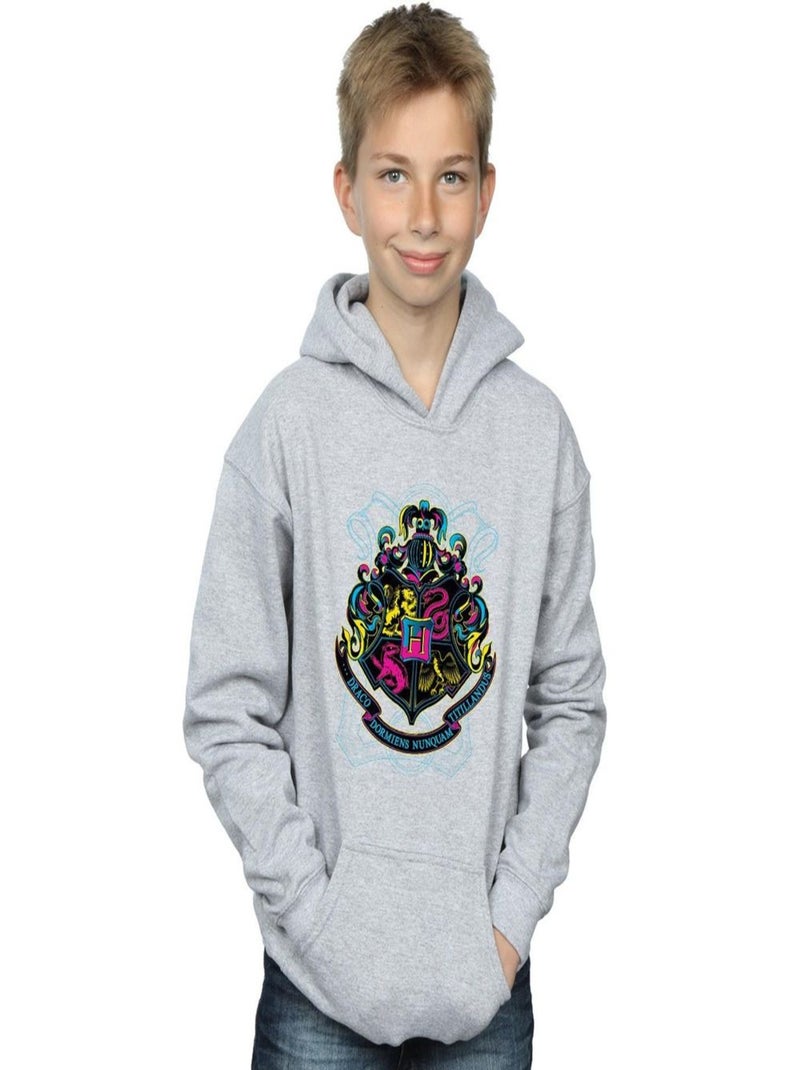 Harry Potter - Sweat à capuche HOGWARTS Gris chiné - Kiabi