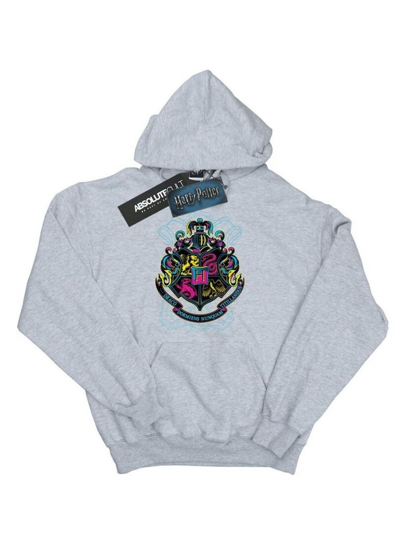 Harry Potter - Sweat à capuche HOGWARTS Gris chiné - Kiabi