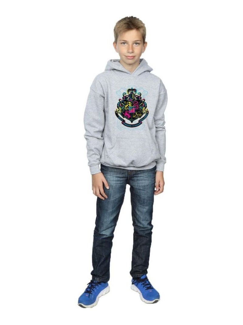 Harry Potter - Sweat à capuche HOGWARTS Gris chiné - Kiabi