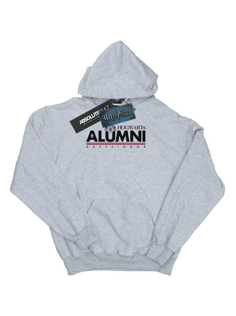 Harry Potter - Sweat à capuche HOGWARTS GRYFFINDOR Gris chiné - Kiabi