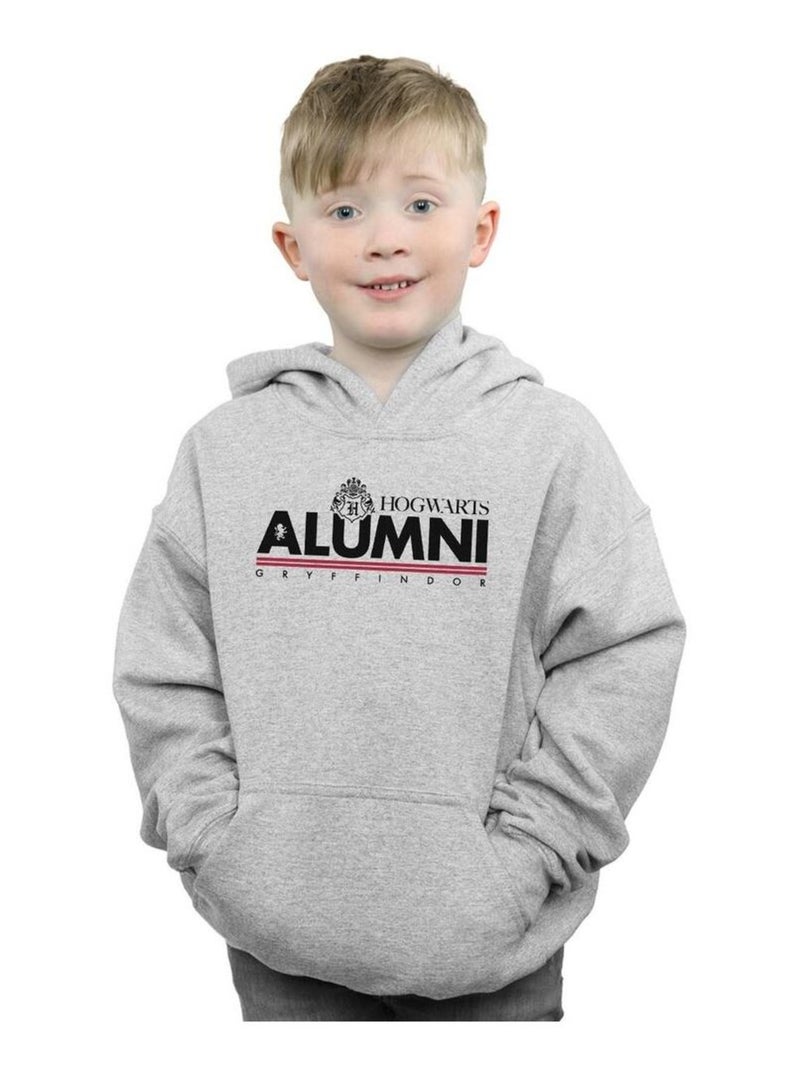 Harry Potter - Sweat à capuche HOGWARTS GRYFFINDOR Gris chiné - Kiabi