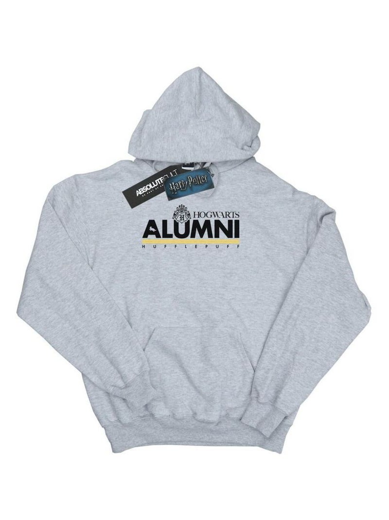 Harry Potter - Sweat à capuche HOGWARTS HUFFLEPUFF Gris chiné - Kiabi