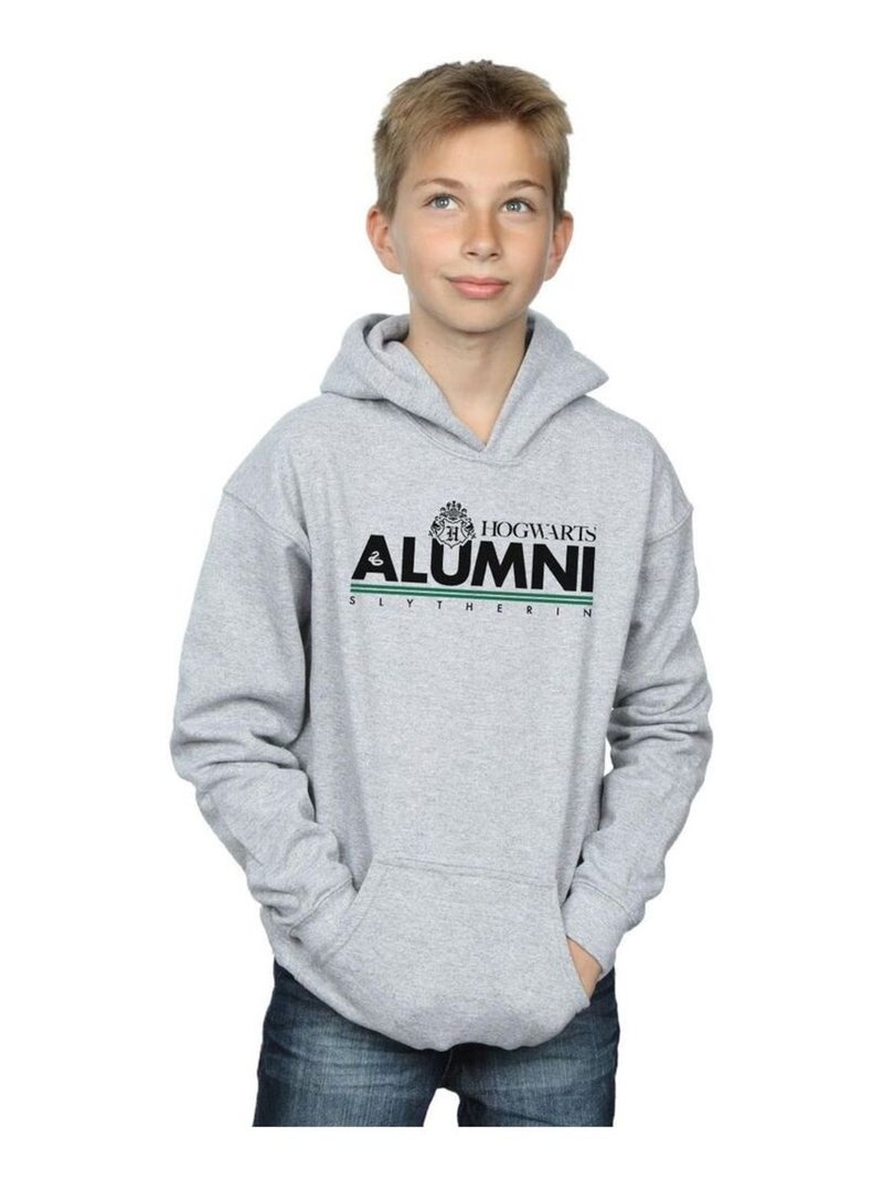 Harry Potter - Sweat à capuche HOGWARTS SLYTHERIN Gris chiné - Kiabi