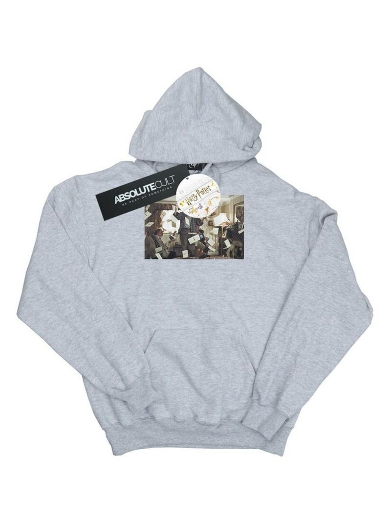 Harry Potter - Sweat à capuche LETTER FROM HOGWARTS Gris chiné - Kiabi