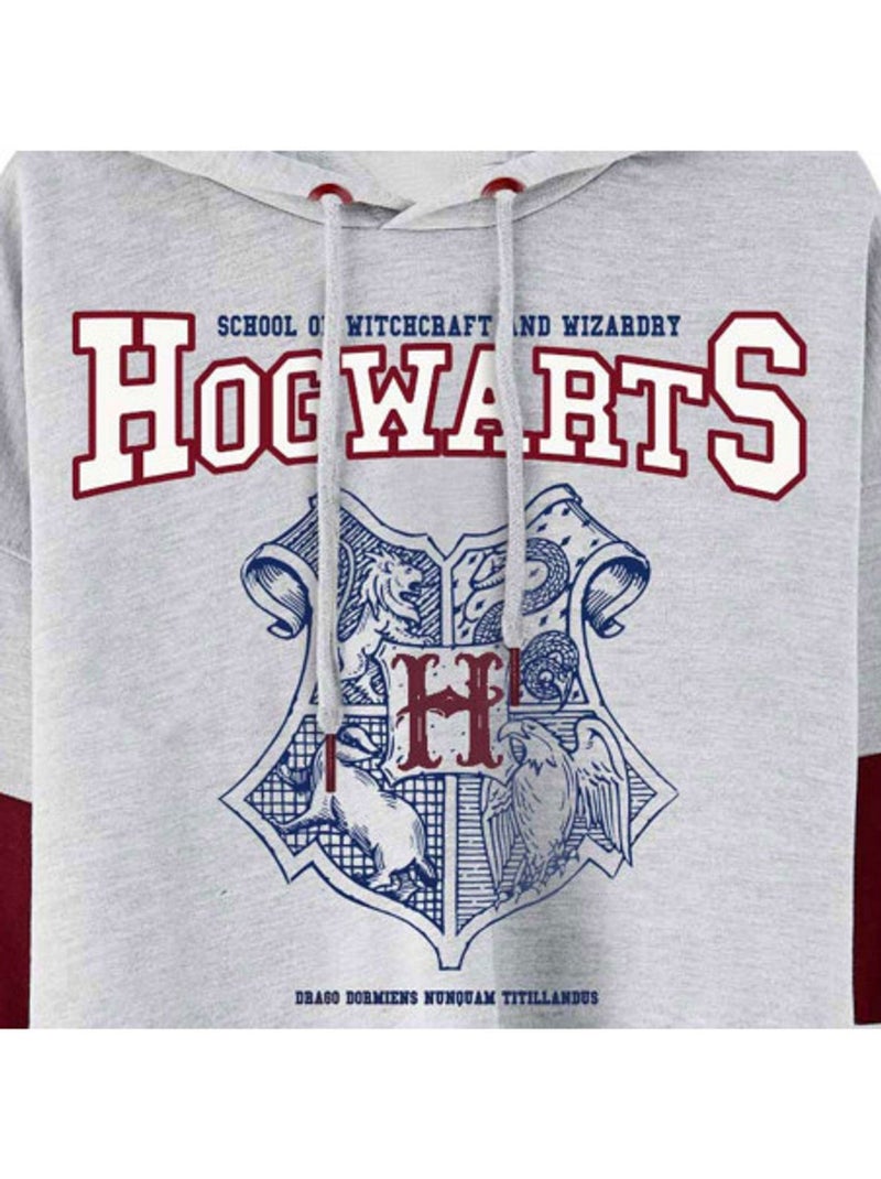 Harry Potter - Sweat à capuche motif/style emblème de Poudlard Gris - Kiabi